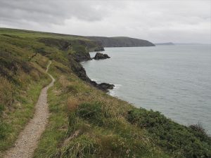 nr 24 Lene Kildegaard - Ceibwr-BAY