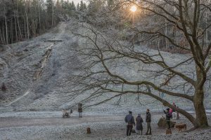 nr 14 Fine Holten - Geel sSkov ved Holtekollen