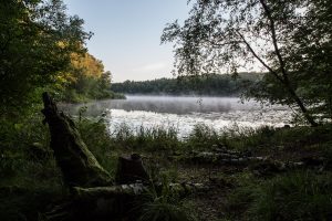 nr 21 Lisbeth Larsen-Morgenstemning