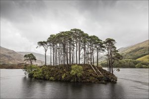 nr 1 - Ove Lyngsie - Skotland