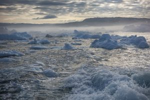 nr 24 Evelyn Pettersson Fiig - Isfjorden