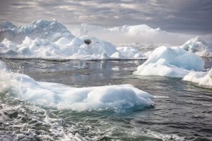 nr 3 Evelyn Pettersson Fiig - Isfjorden