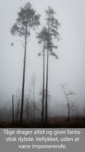 nr 22-Fine Holten-Tågeskoven