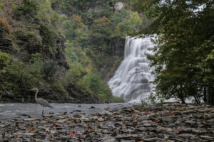 nr 14 Lisbeth Larsen-Ithaca Falls